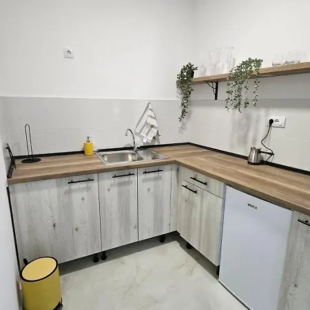 Spring 4 شقة بيتروفارادين