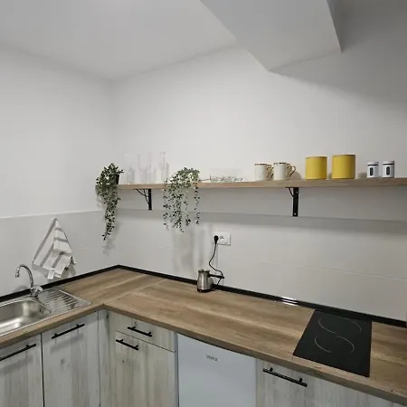 شقة Spring 4 بيتروفارادين