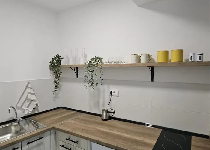 شقة Spring 4 بيتروفارادين